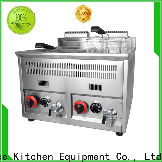 wholesale electric fryer factory for coffee shops
