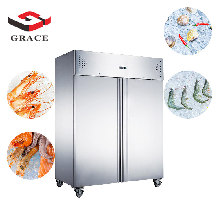 GRACE Commercial Refrigerator 2 door display freezers & fridges blast freezer
