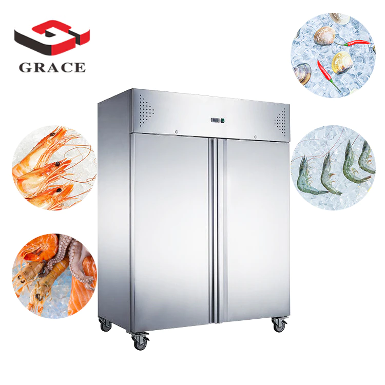 GRACE Commercial Refrigerator 2 door display freezers & fridges blast freezer